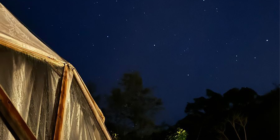 Domo en la naturaleza